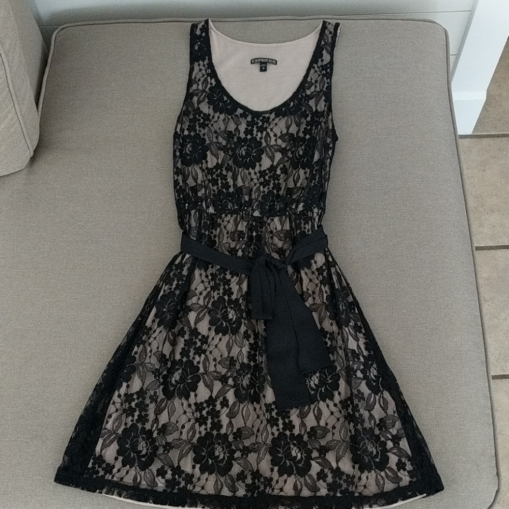 Femine Lace Express Dress